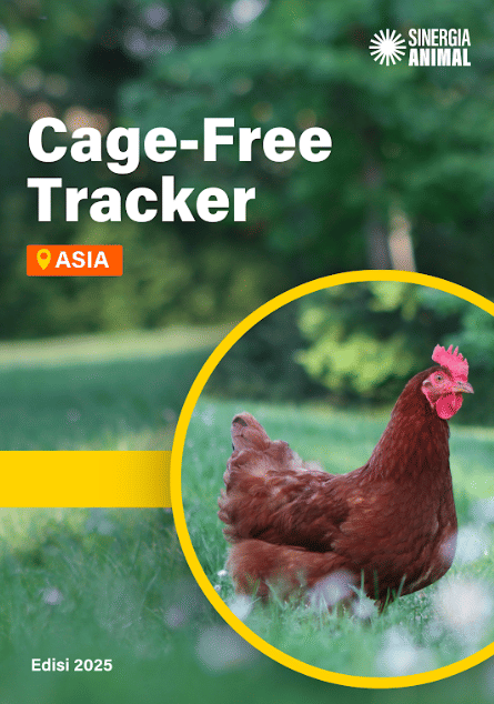 Transparansi Jadi Ujian Transisi Telur Bebas Sangkar di Asia (Dok. IDN Times)