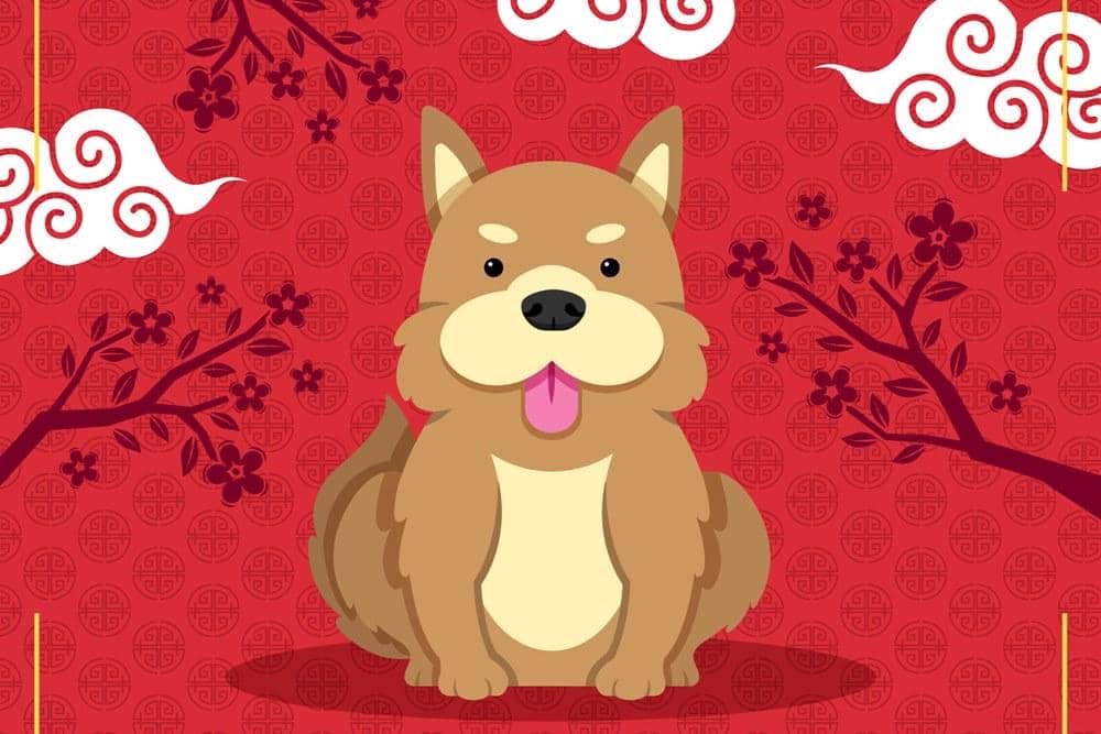 Ramalan Shio Anjing di 2026