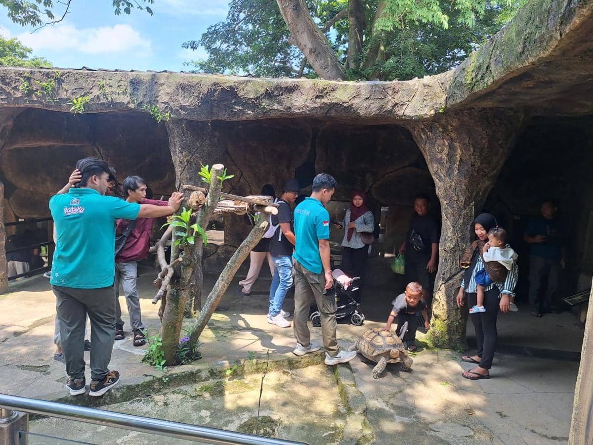 semarang zoo, liburan nataru, kebun binatang