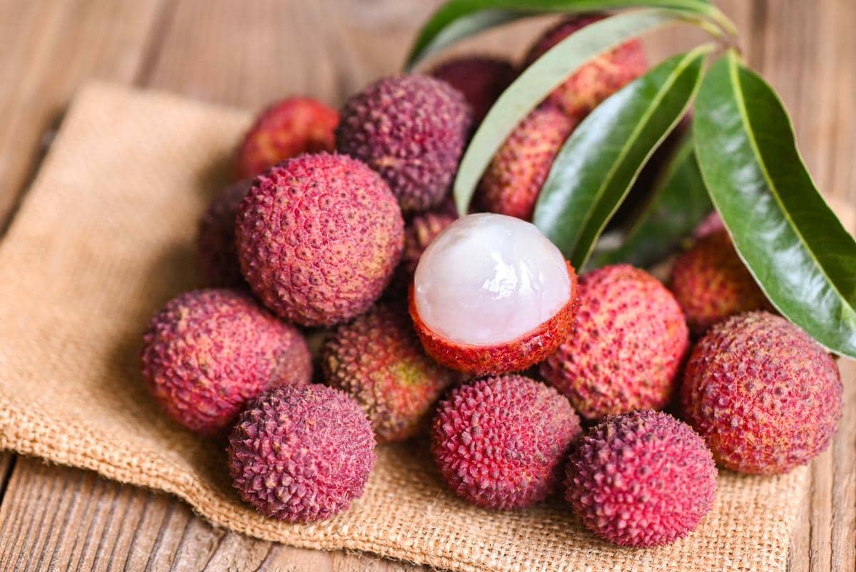 lychee