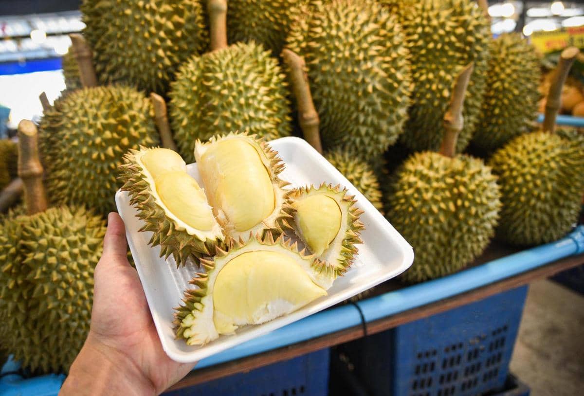 ilustrasi durian kupas