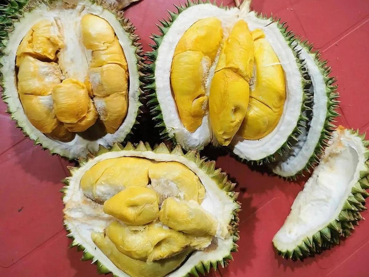 ilustrasi durian kupas
