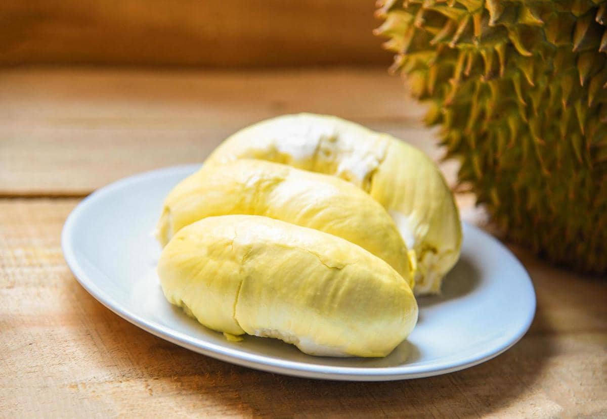 ilustrasi durian