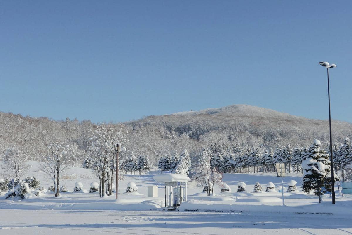 ilustrasi suasana Sapporo saat musim dingin
