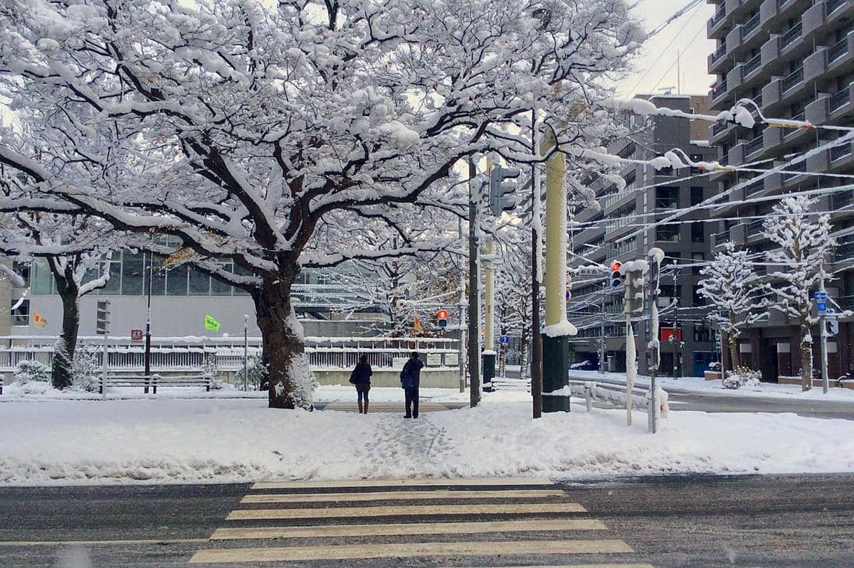 suasana jalanan di Sapporo saat musim dingin