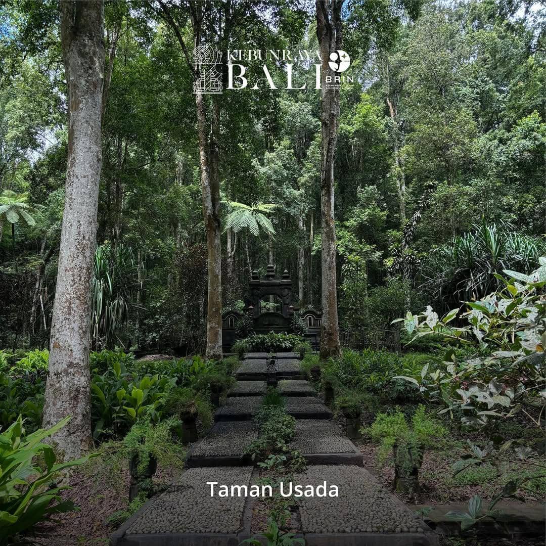 salah satu sudut di Kebun Raya Bali (instagram.com/kebunraya_bali)