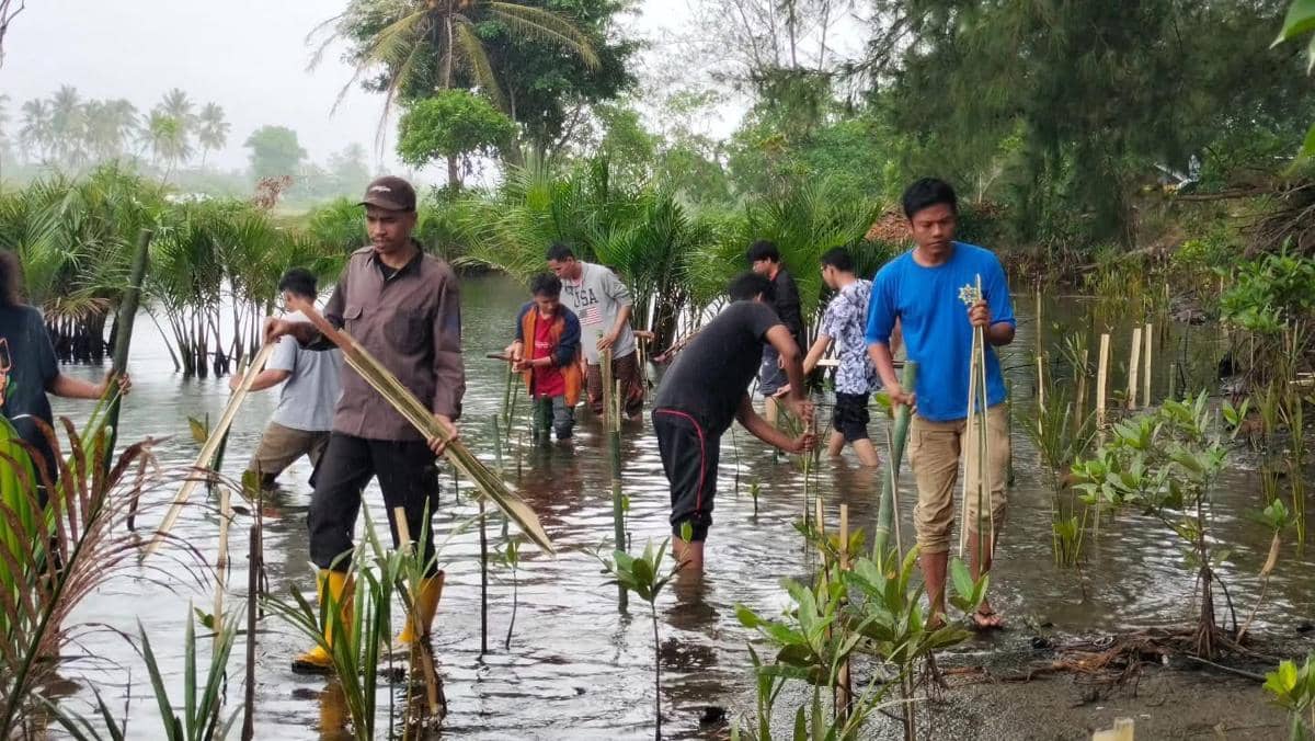Warga menanam bibit pohon mangrove