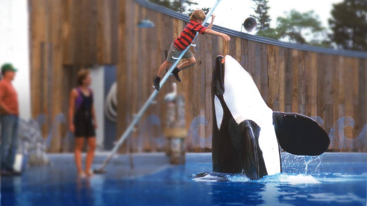 Free Willy film keluarga tahun 90an