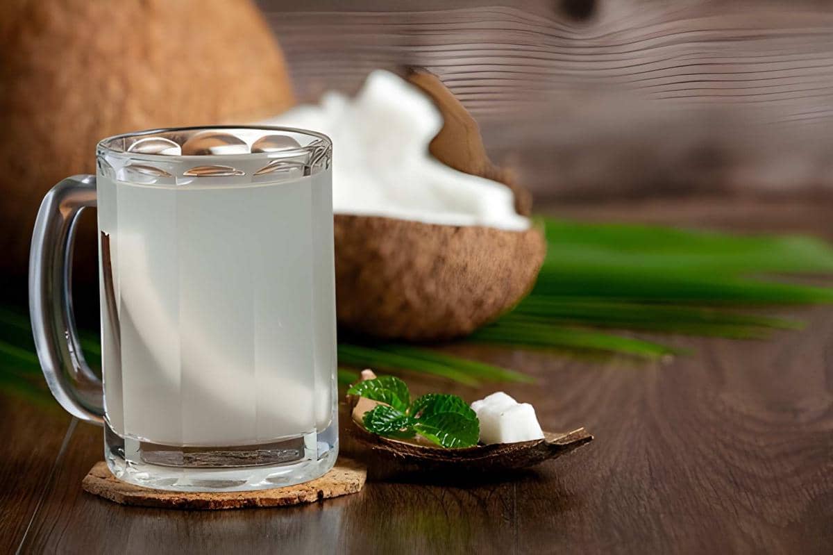 Es kelapa muda murni