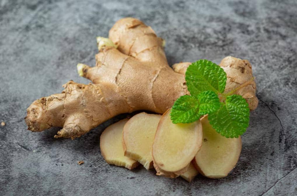ilustrasi jahe