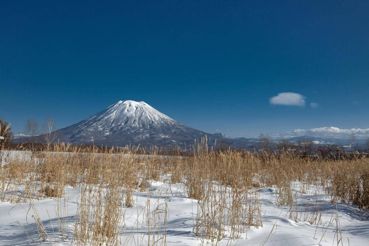 Niseko