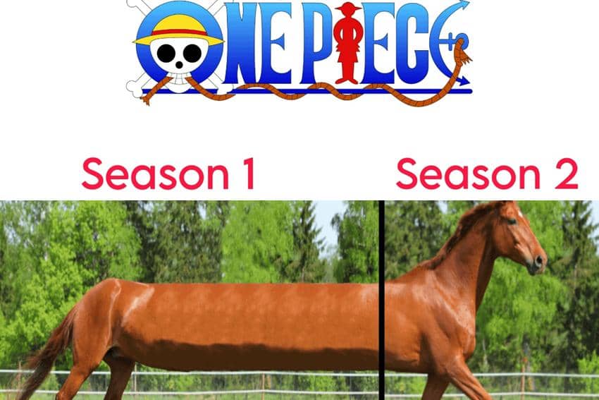 meme One Piece lanjut musim kedua