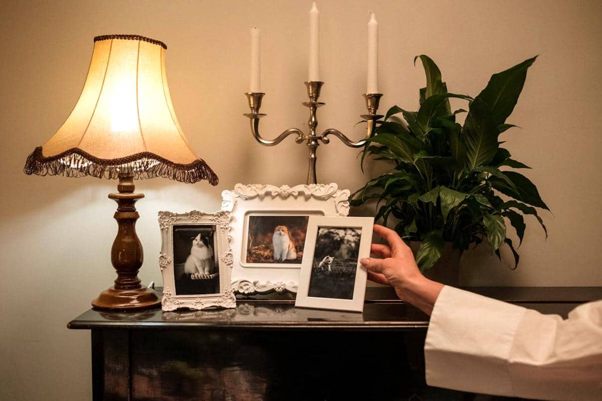 Ilustrasi dekorasi ruangan 