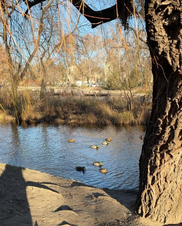 Elma Agustin dan suami jalan-jalan di Budapest.