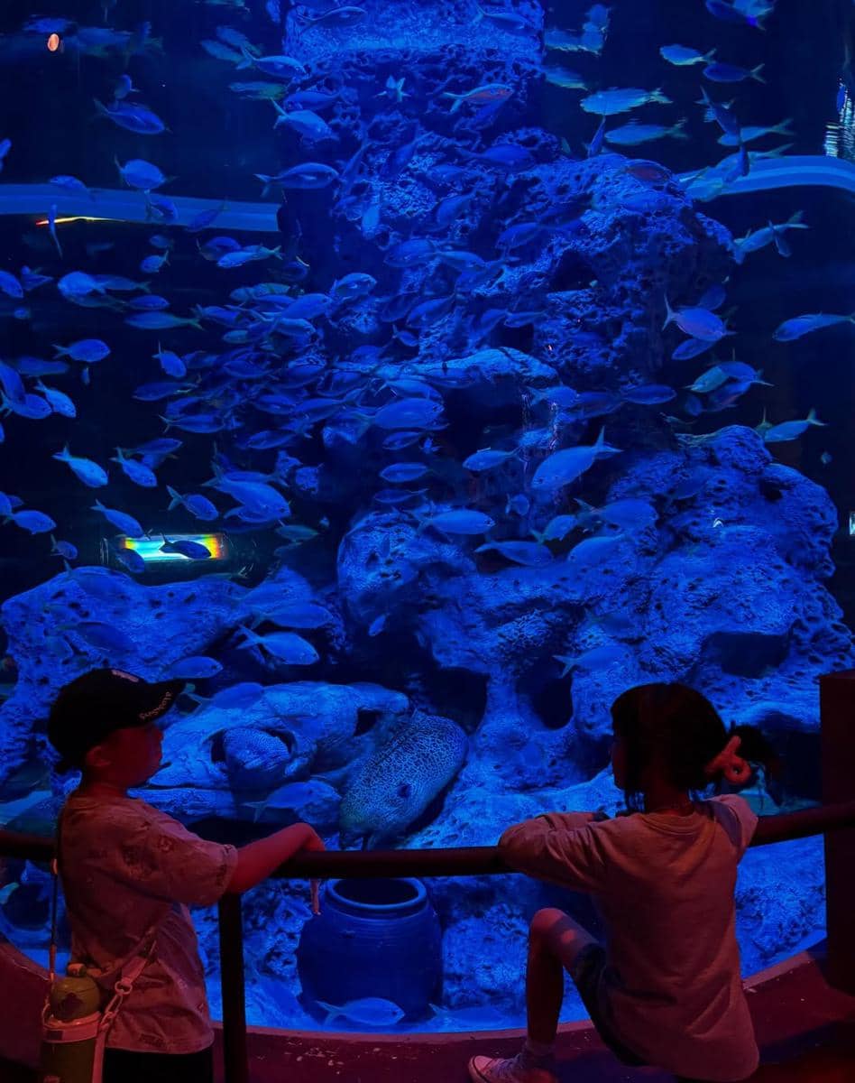 Keluarga Nycta Gina jalan-jalan di VinWonders Phú Quốc.