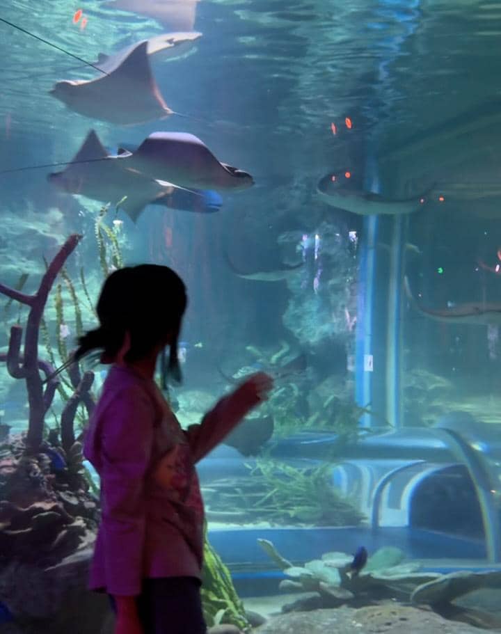 Keluarga Nycta Gina jalan-jalan di VinWonders Phú Quốc.