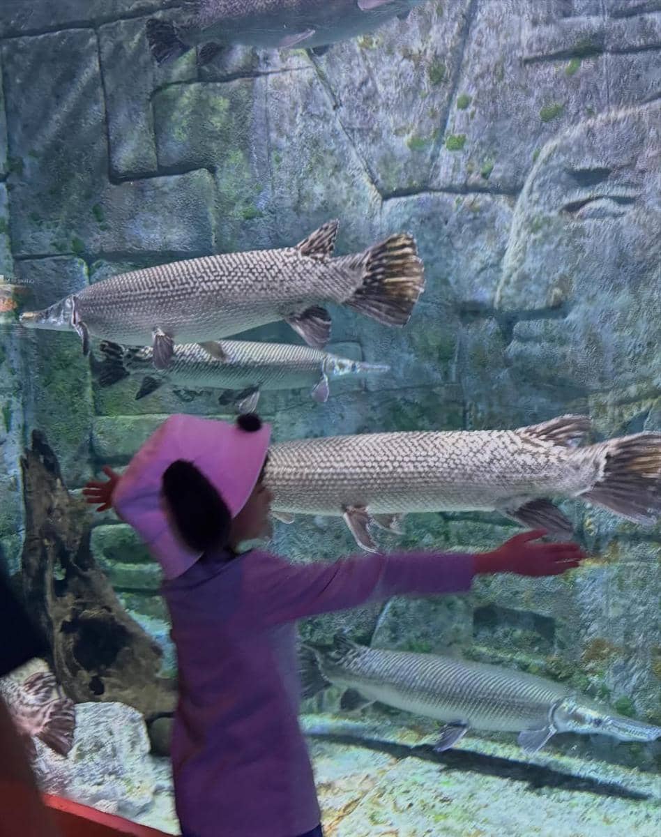 Keluarga Nycta Gina jalan-jalan di VinWonders Phú Quốc.