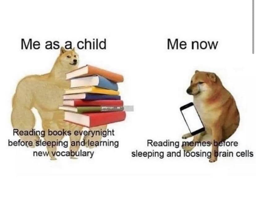 meme kartun tentang buku