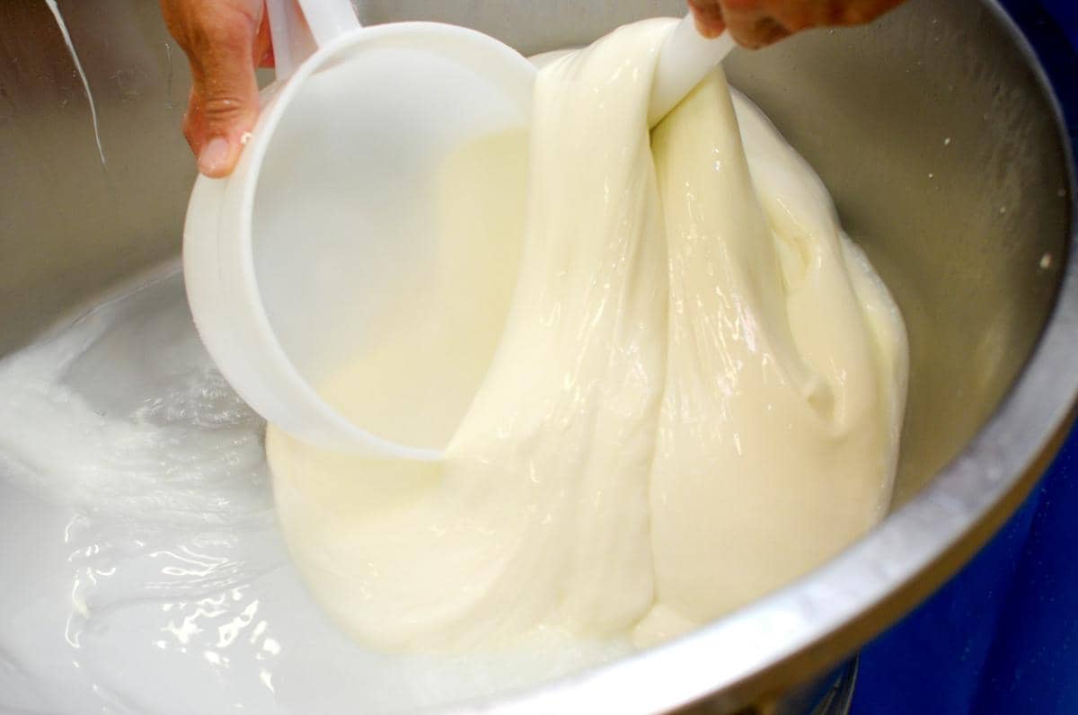 ilustrasi mozzarella