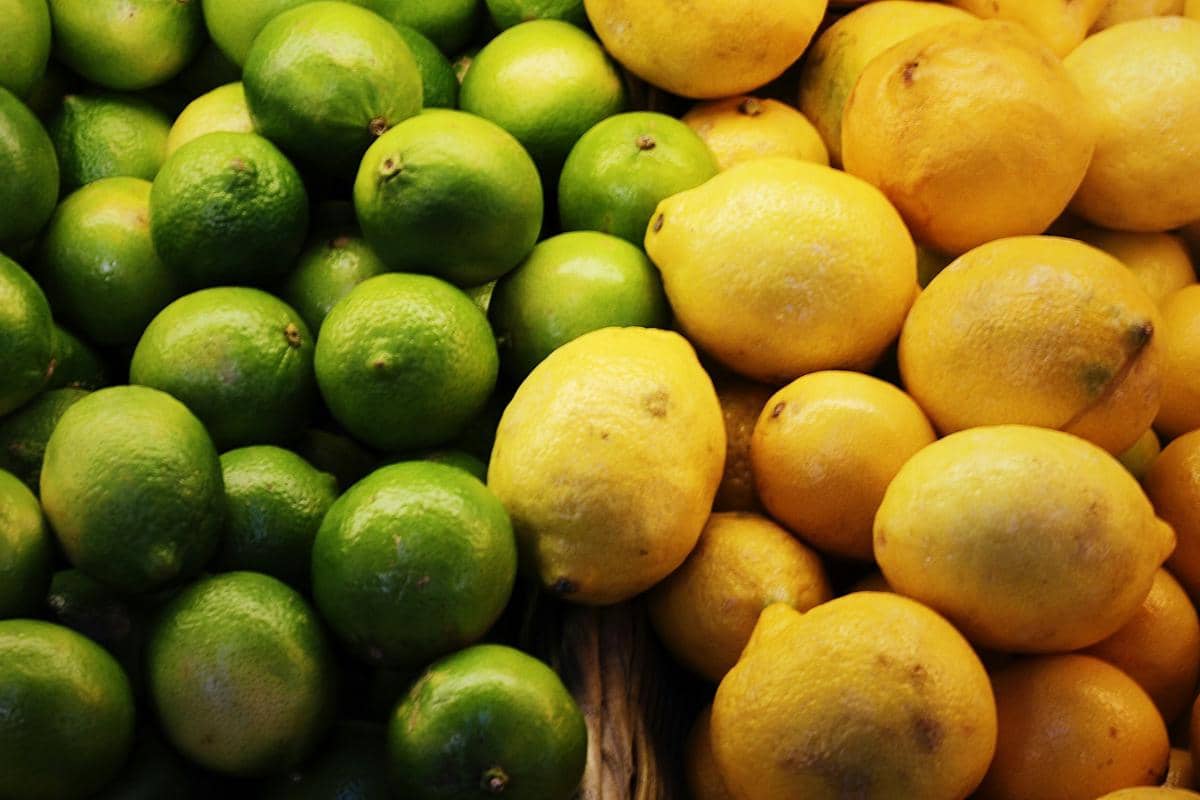 ilustrasi jeruk dan lemon