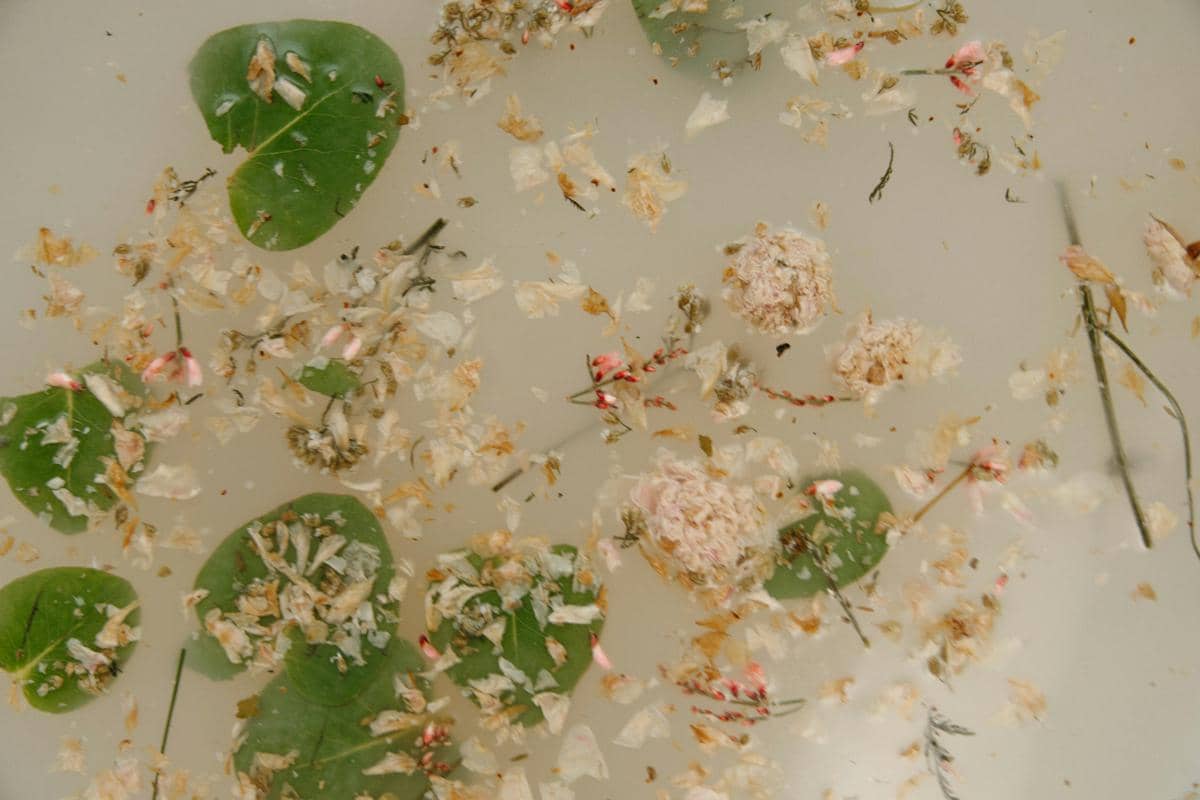 ilustrasi air dengan rempah (pexels.com/Yaroslav Shuraev)