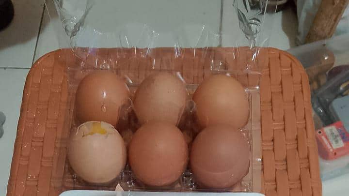 Paket MBG di Kota Blitar yang berisi telur mentah. IDN Time/istimewa