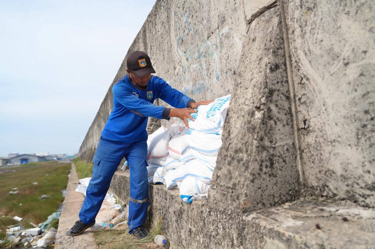 Pemkot Jakut perkuat mitigasi pesisir hadapi cuaca ekstrim dan bajir rob
