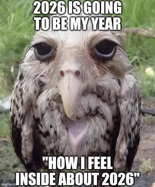 meme tahun baru 2026