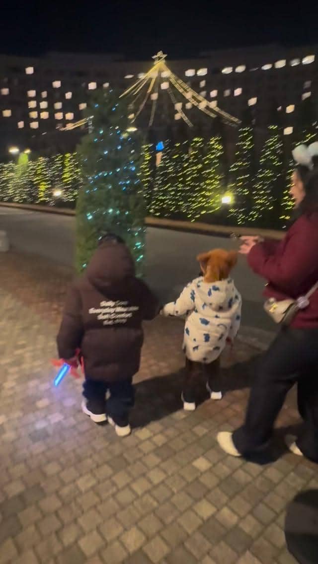 Angbeen Rishi ke Tokyo DisneySea.