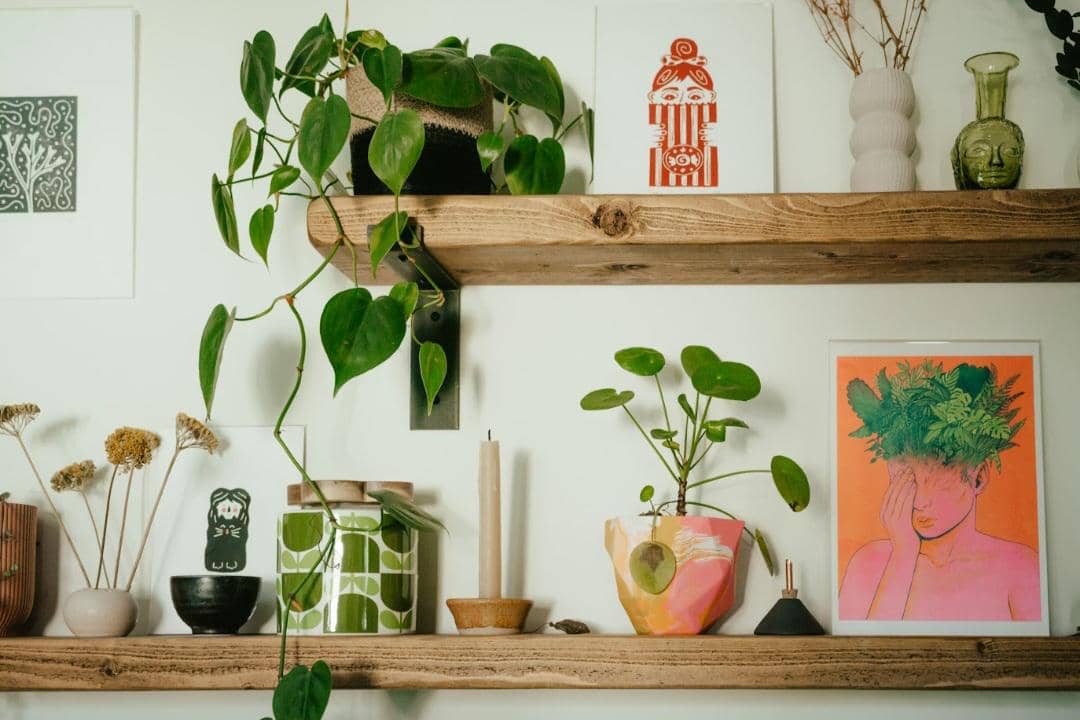 ilustrasi tanaman hias indoor