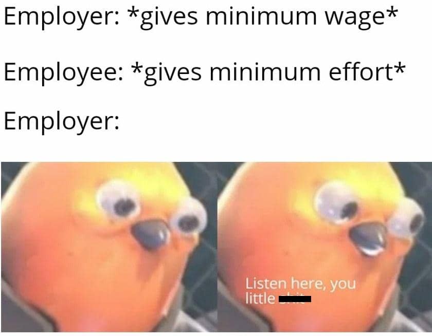 meme kartun gaji di bawah UMR