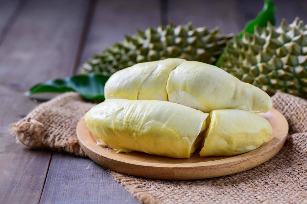 ilustrasi durian