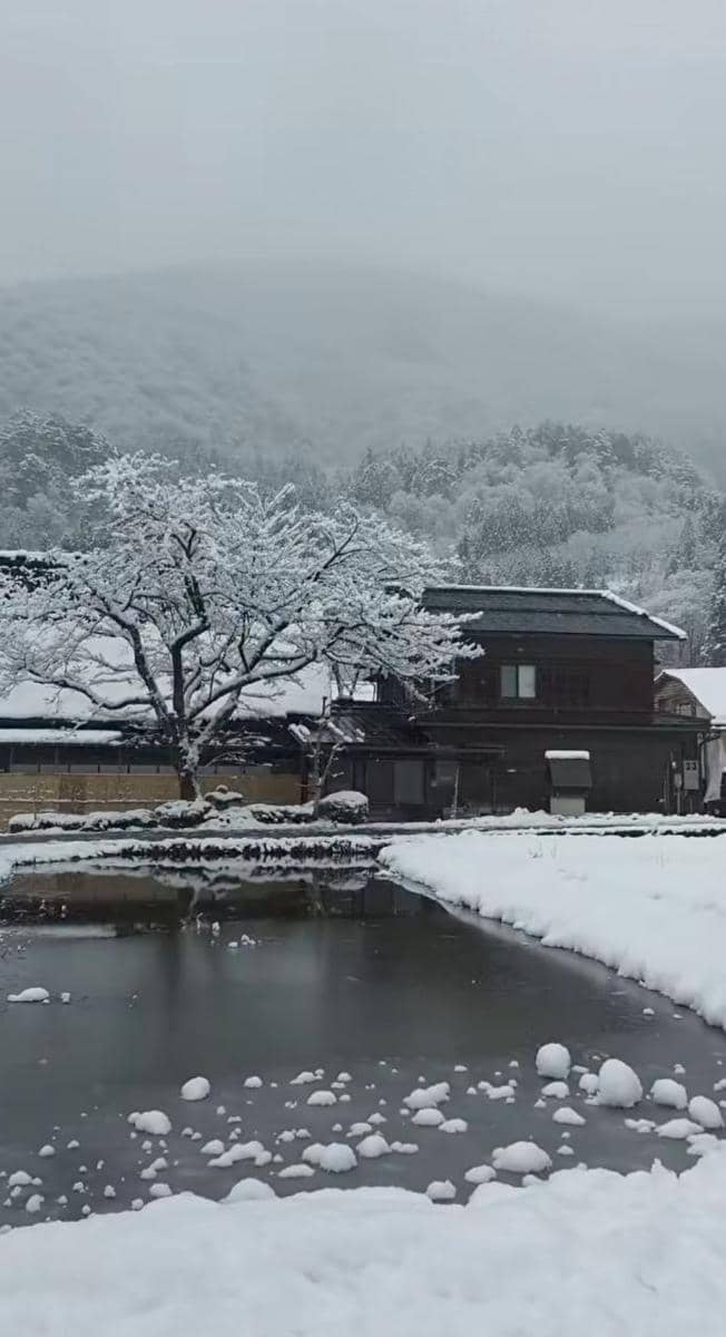 Omara dan Prilly jalan-jalan di Shirakawa-go.