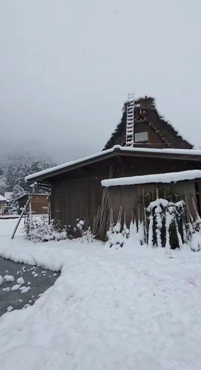 Omara dan Prilly jalan-jalan di Shirakawa-go.