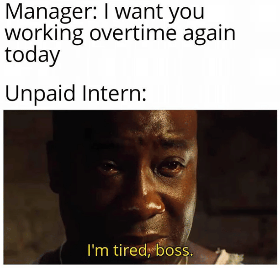 meme magang gak dibayar