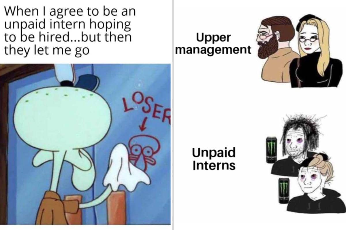 kolase meme magang gak dibayar