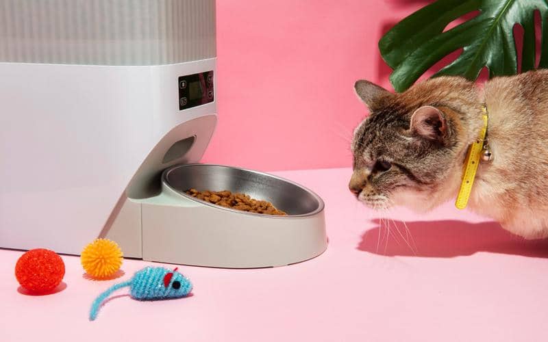 ilustrasi tempat makan pintar untuk hewan peliharaan