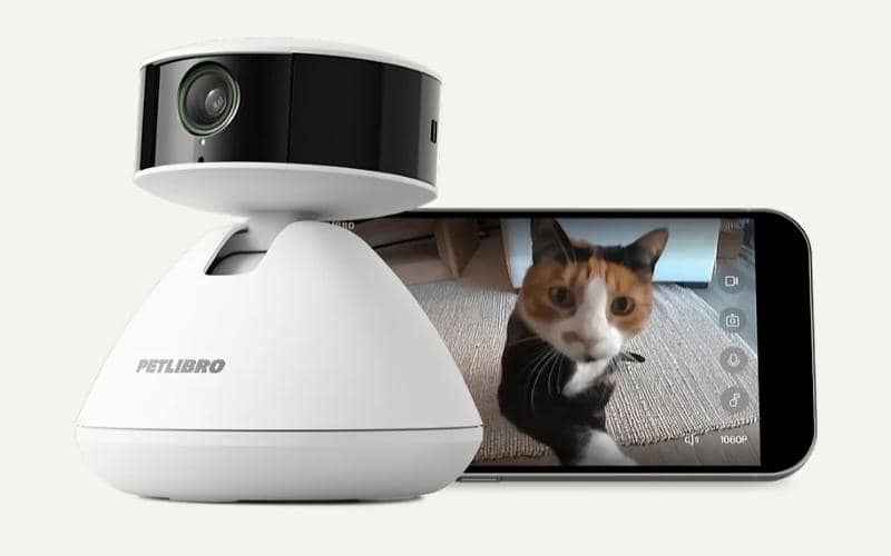 potret Petlibro Scout Smart Camera