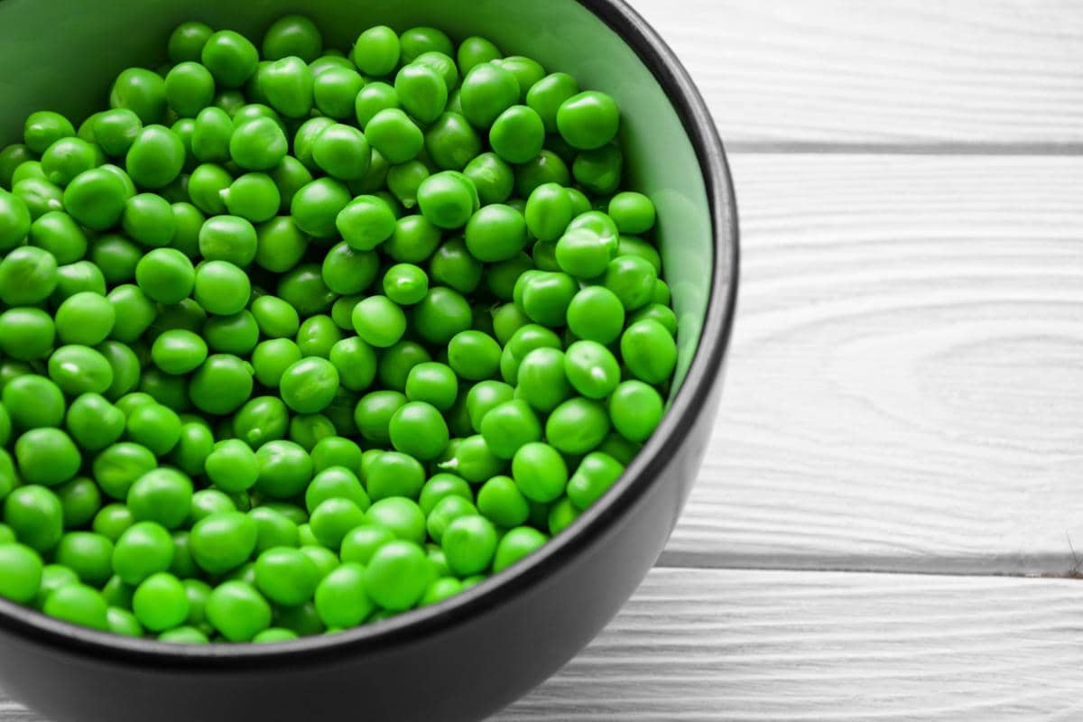 ilustrasi peas atau kacang polong