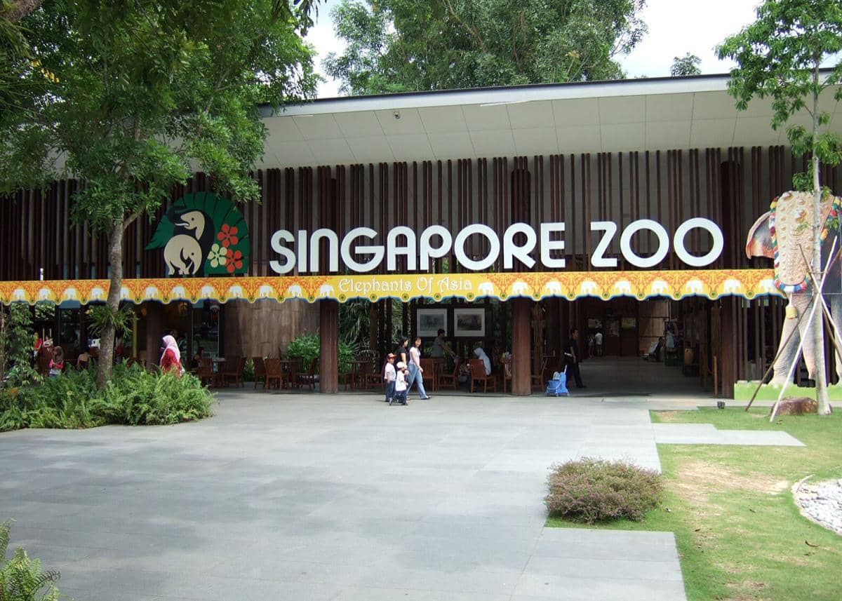 Singapore Zoo