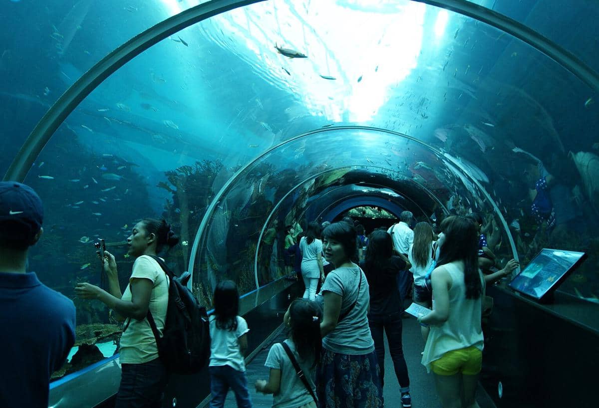 S.E.A Aquarium Singapore