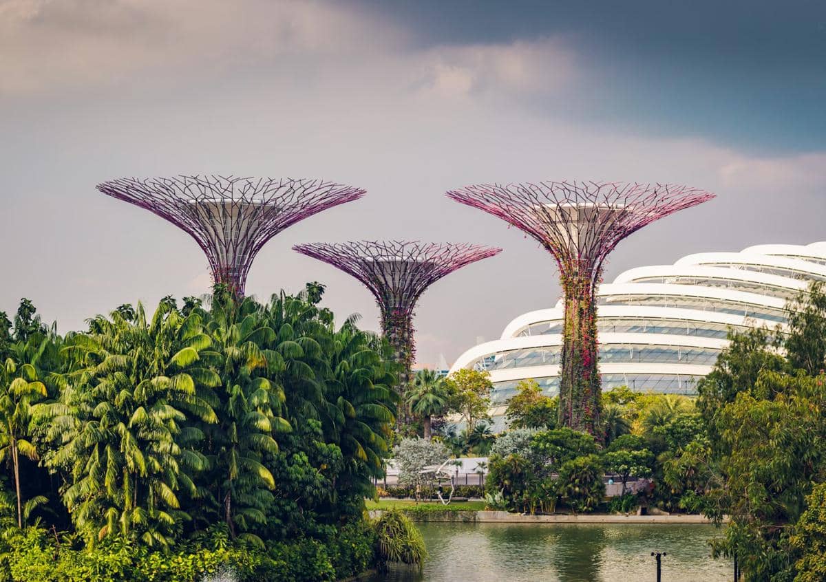 Gardens by the Bay