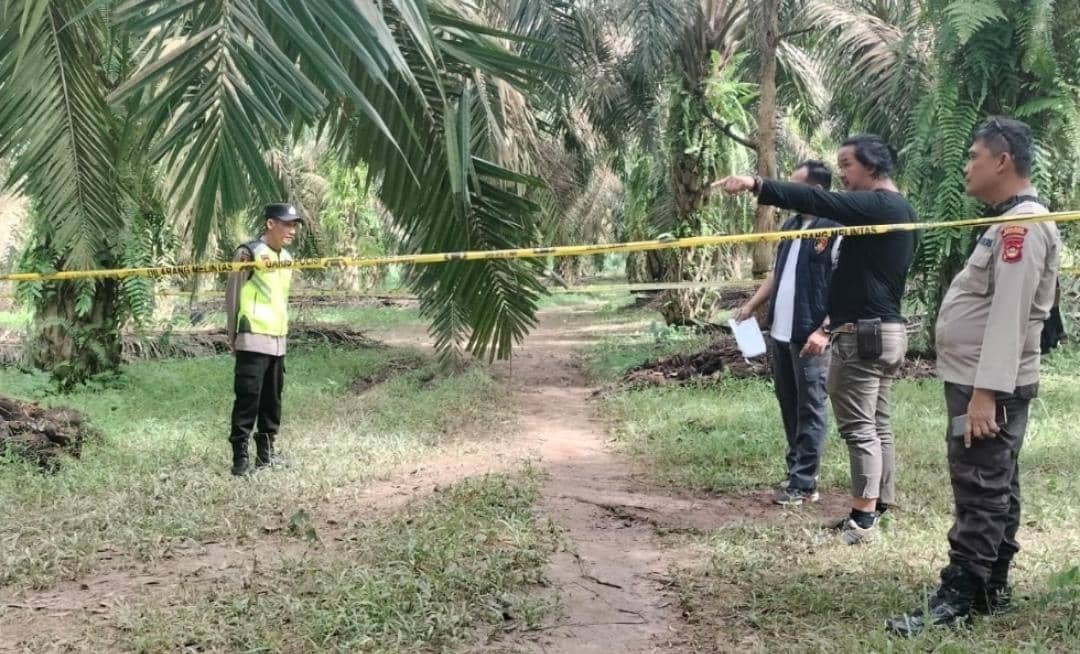 Pihak kepolisian tengah melakukan olah TKP korban diduga dibunuh di kebun durian. (Dok. Polsek Lais)