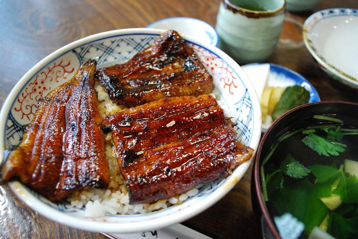 potret unagi don pedas manis 