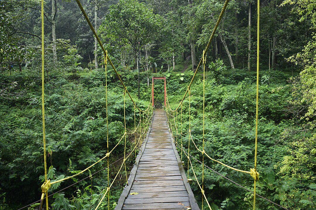 jembatan gantung di kawasan Taman Hutan Raya Ir. H. Djuanda