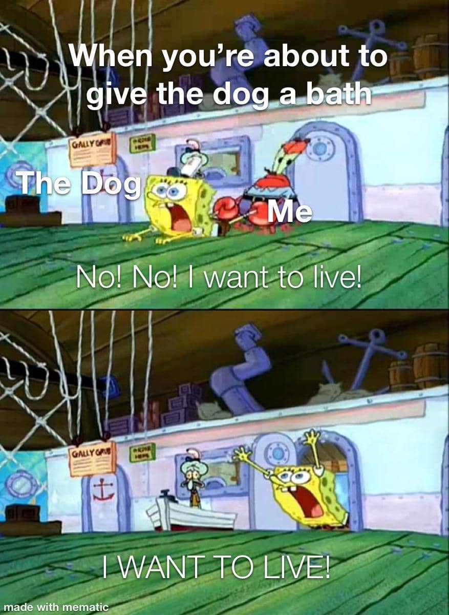 meme SpongeBob tentang mimpi buruk