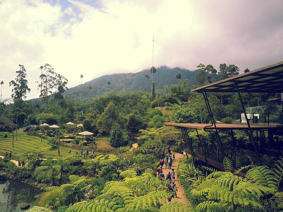 Dusun Bambu