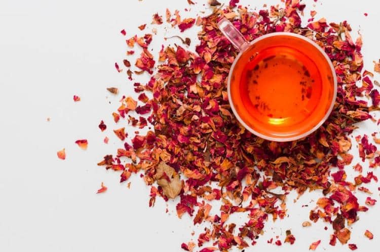 ilustrasi teh rooibos