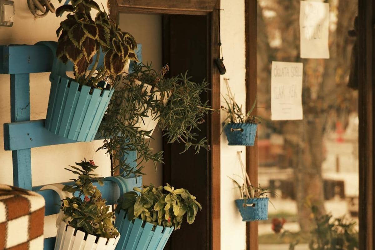 ilustrasi vertical garden menambah estetis ruangan 