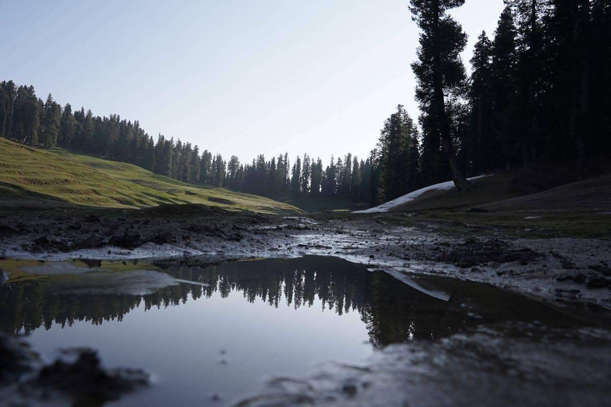 ilustrasi kubangan lumpur